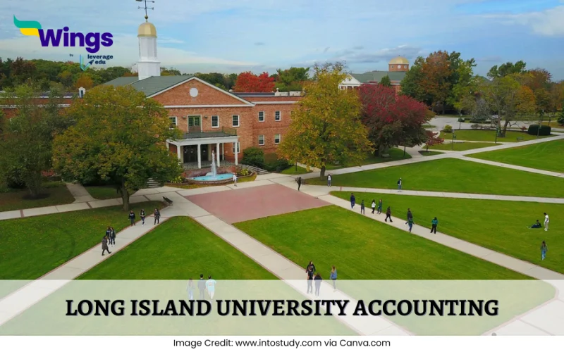 long island university accounting