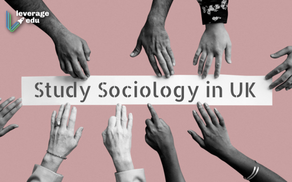 phd sociology uk