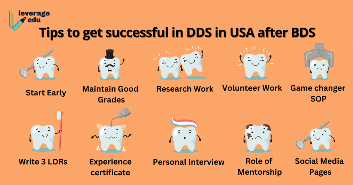 DDS in USA After BDS Tips and Suggestions Leverage Edu