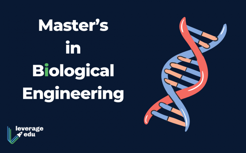 Master's in Biological Engineering