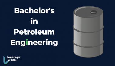 Bachelor's in Petroleum Engineering