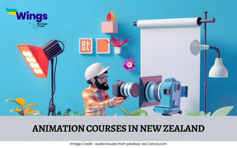 Animation courses in New Zealand