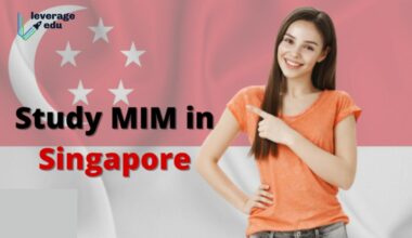study mim in singapore