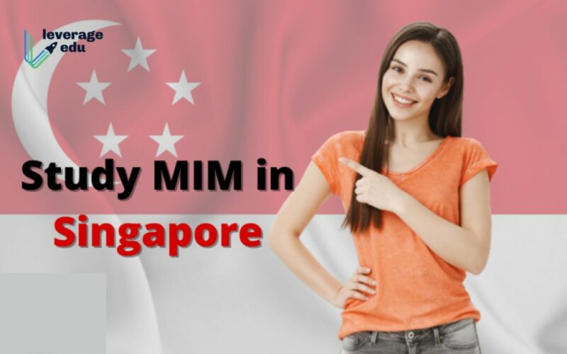 study mim in singapore