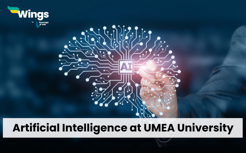 Artificial Intelligence at UMEA University