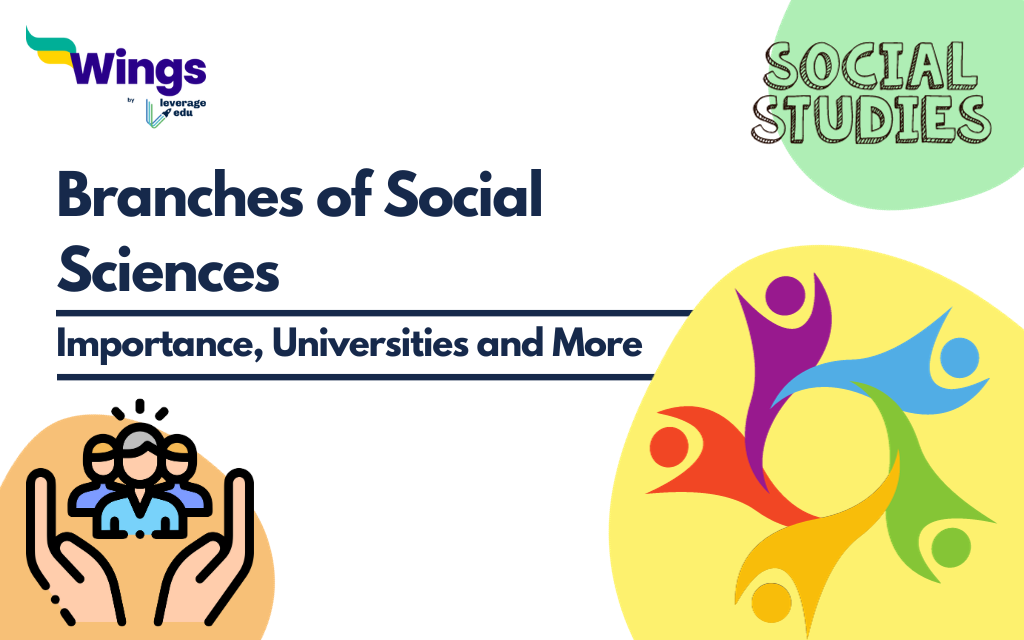 What are the Branches of Social Sciences?, their Meanings, Importance  Leverage Edu