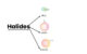 Alkyl halides, Allylic halides and Benzylic halides.