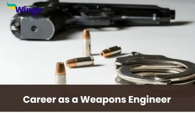 Career as a Weapons Engineer