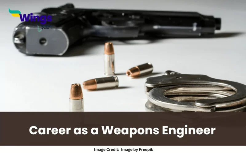 Career as a Weapons Engineer