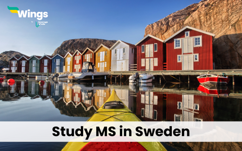 Study MS in Sweden