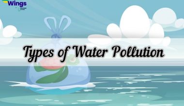 types of water pollution