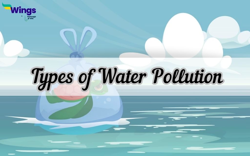 effects of water pollution on environment