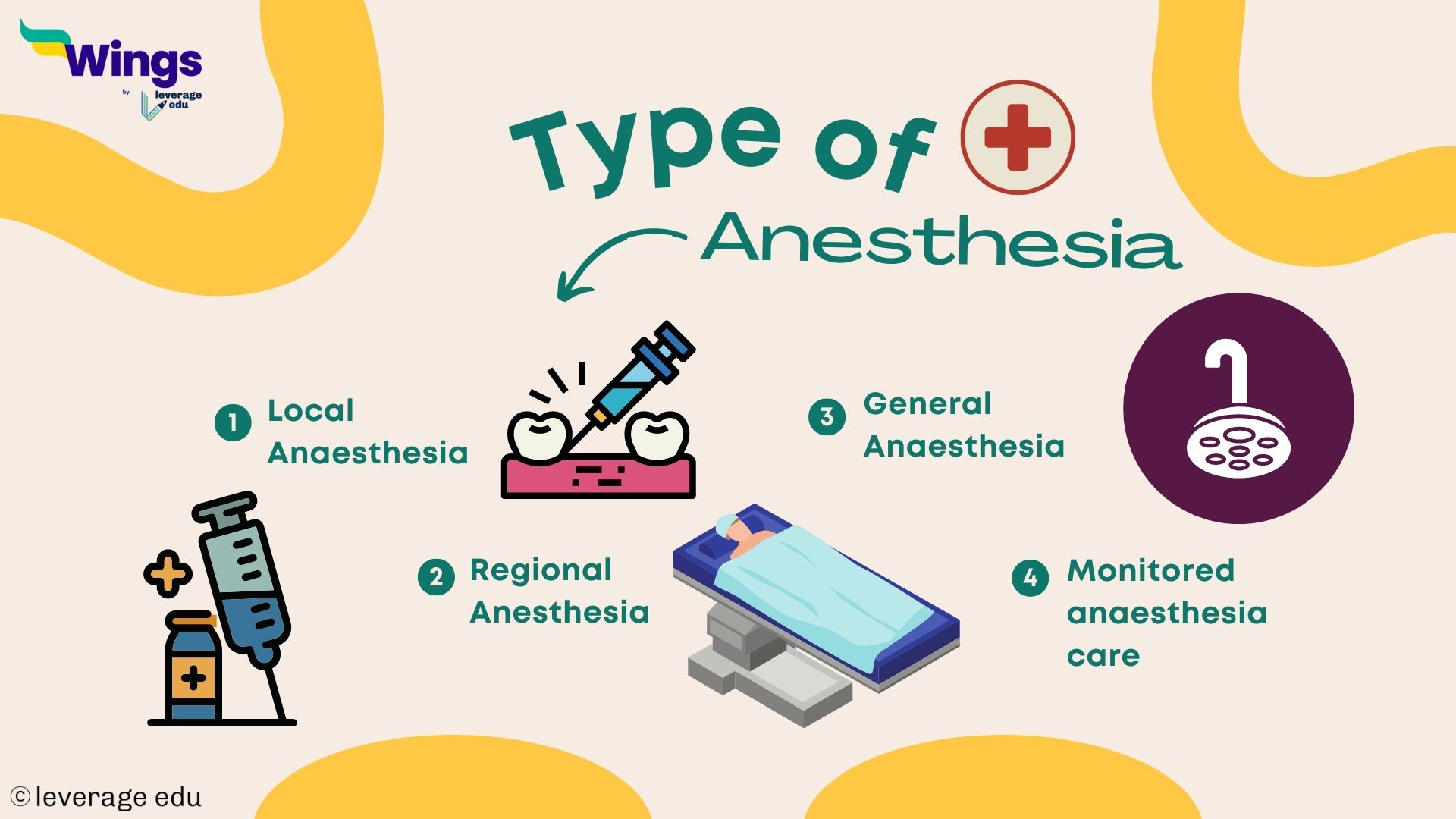 BSc Anesthesia [Syllabus, Eligibility, Specialisations] | Leverage Edu