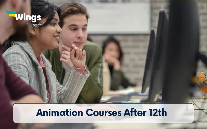 Animation Courses After 12th