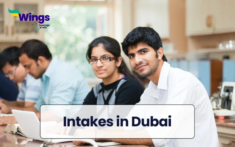 Intakes in Dubai
