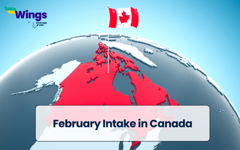 February Intake in Canada
