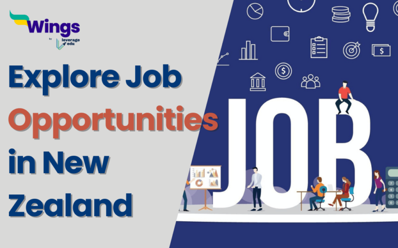 Explore Job Opportunities in New Zealand