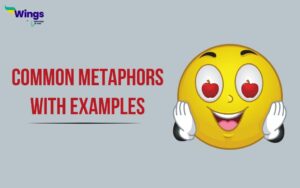 Common Metaphors with Examples