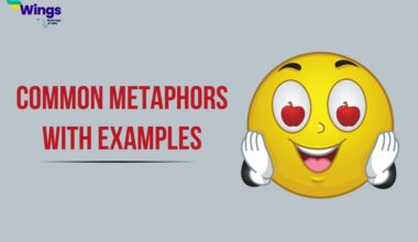 Common Metaphors with Examples
