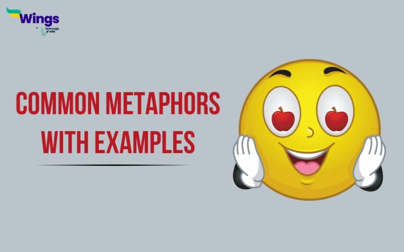 Common Metaphors with Examples