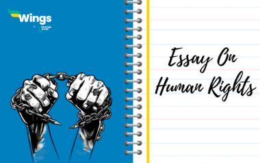 significance of human rights essay