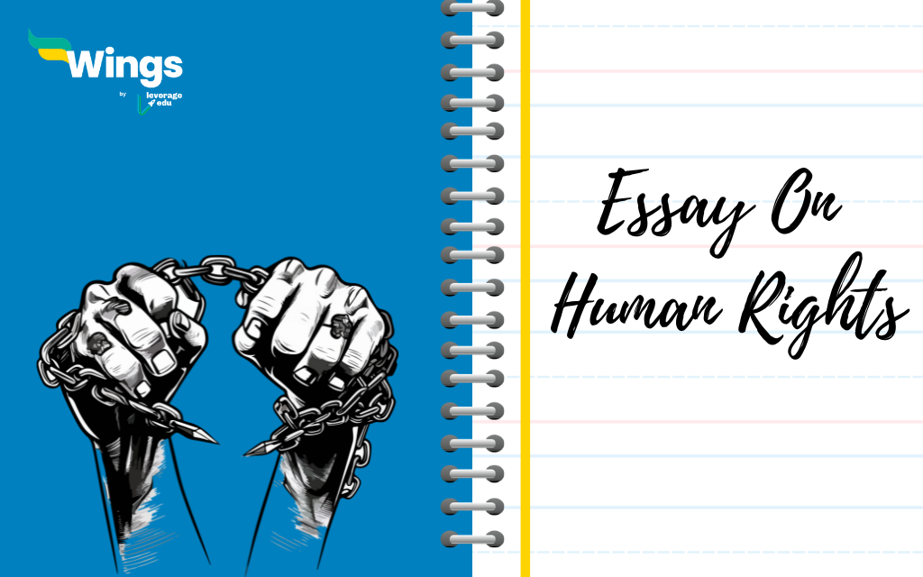 human rights and values essay