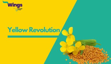 Yellow Revolution