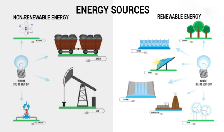 NCERT Class 8 Geography Chapter 1 Resources: Notes, Solutions, Free PDF ...