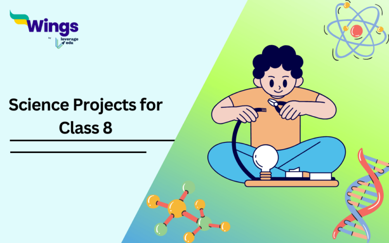 Science Projects for Class 8