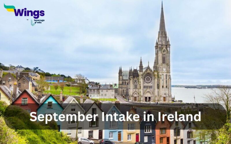 September Intake in Ireland