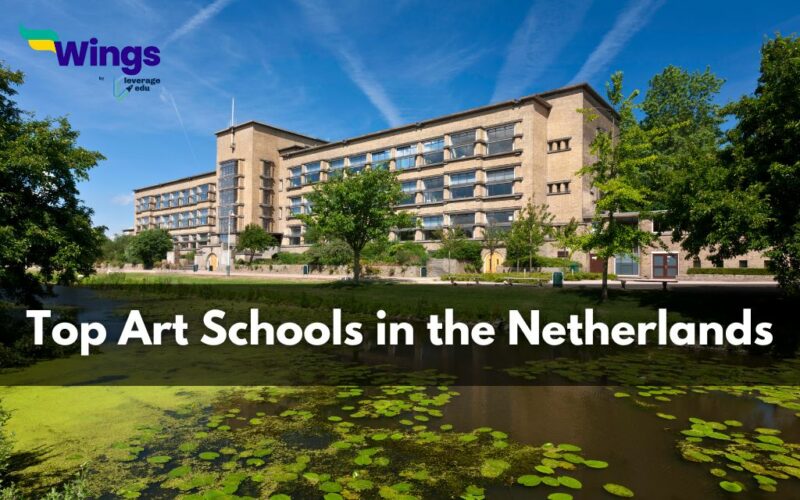 Art Schools In Netherlands 800x500 