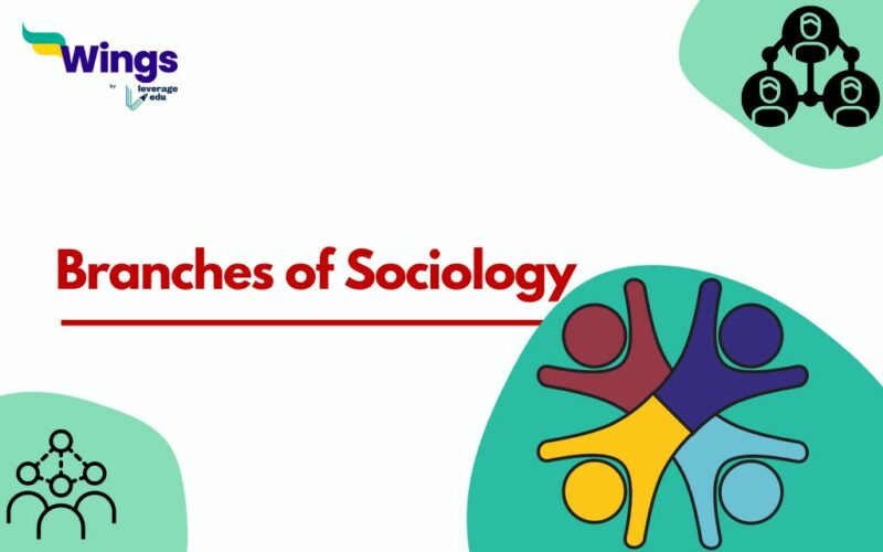 Branches of Sociology