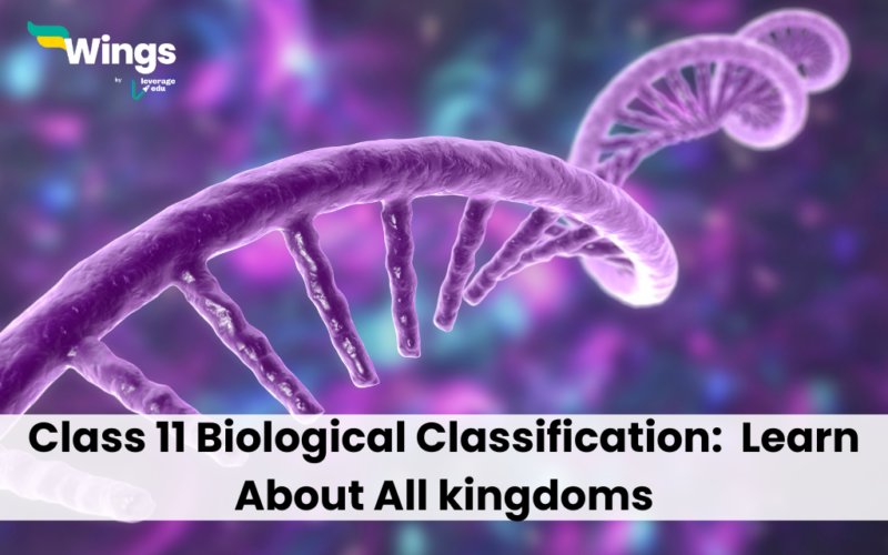 Class 11 Biological Classification: Learn About All kingdoms