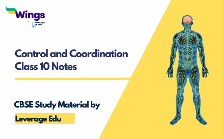 Control And Coordination Class 10 Notes (Free PDF) | Leverage Edu