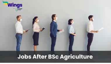 Jobs After BSc Agriculture