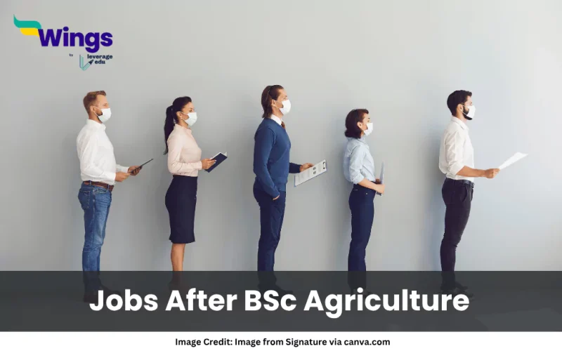 Jobs After BSc Agriculture