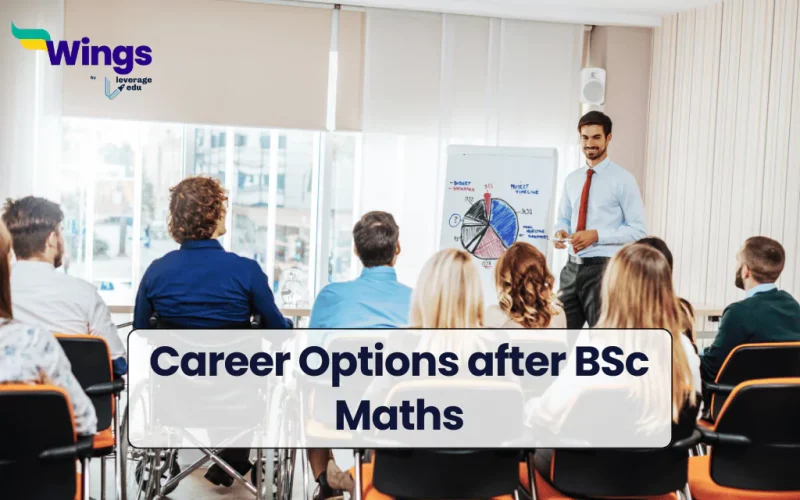 Career after BSc Maths
