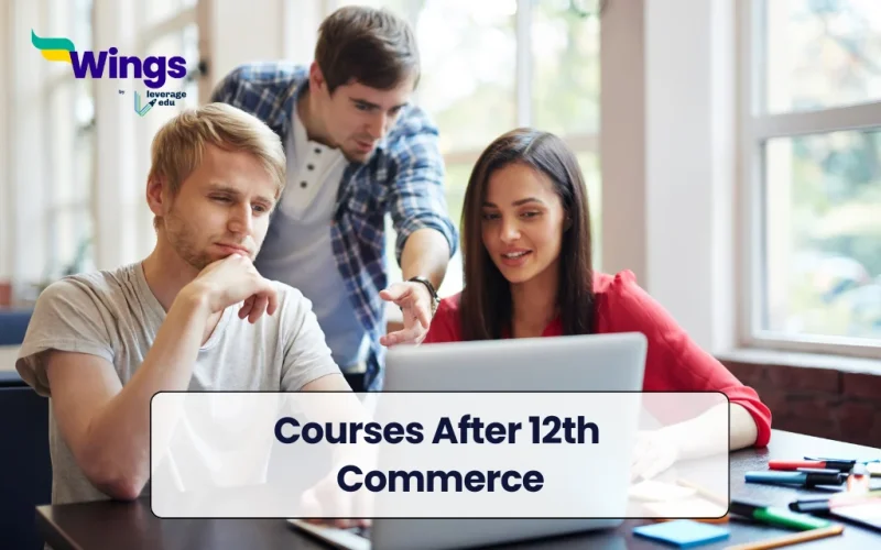 Courses After 12th Commerce