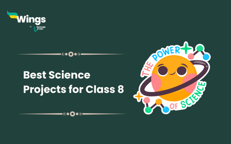 Best Science Projects for Class 8