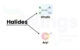 Vinylic halides and Aryl halides.