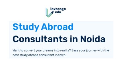 Study Abroad Consultant in Noida