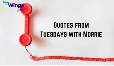 Quotes from Tuesdays with Morrie