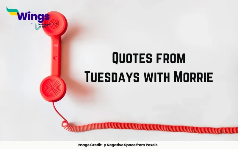 Quotes from Tuesdays with Morrie