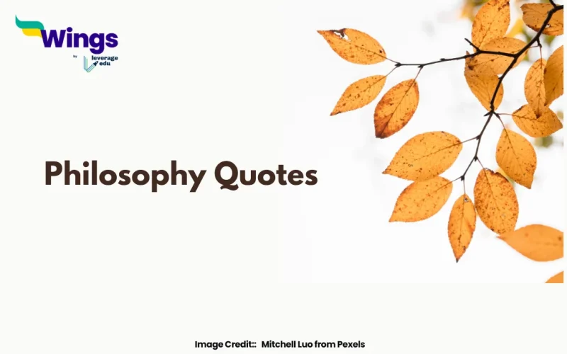philosophy quotes