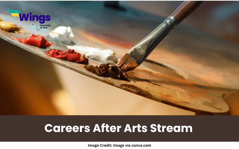 Careers after Arts Stream