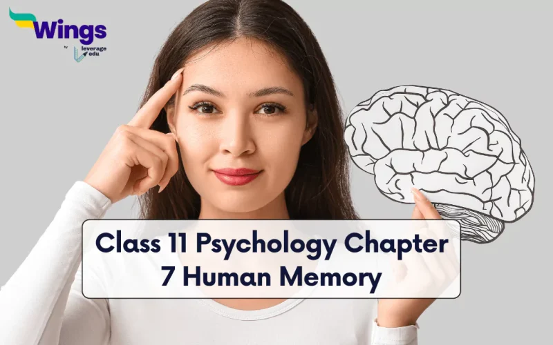 Class 11 Psychology Chapter 7 Human Memory