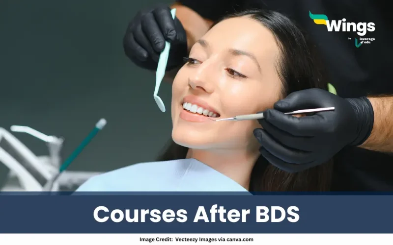 Courses After BDS