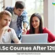 B.Sc Courses After 12th