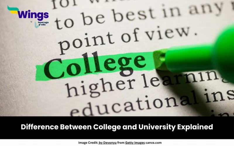 Difference Between College and University Explained
