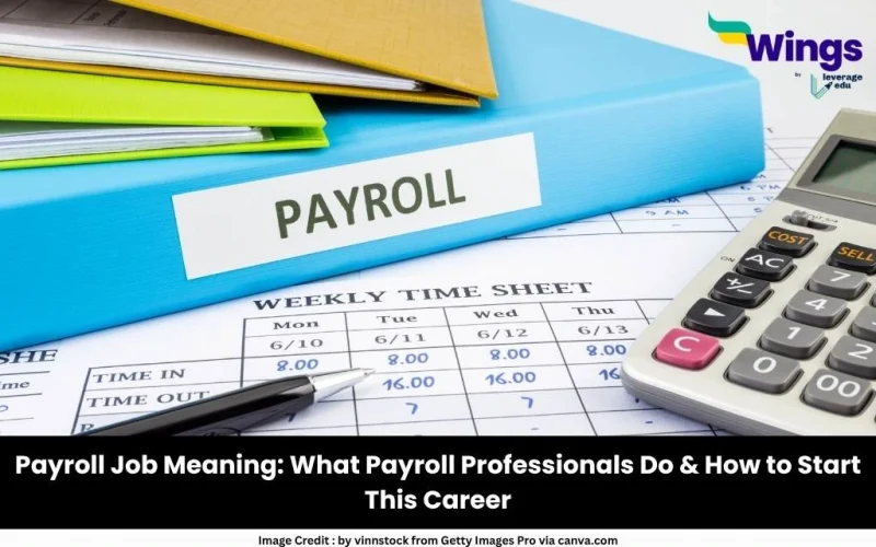 Payroll Job Meaning: What Payroll Professionals Do & How to Start This Career